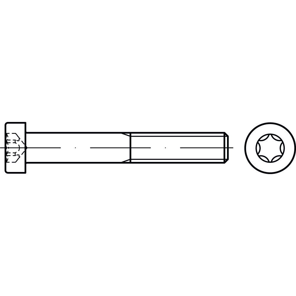 Zylinderschraube DIN 7984 8.8 TX A2K, GALVANISCH VERZINKT INNENSECHSRUND, Gewindenenndurchmesser: 8mm, Schraubenlänge: 20mm