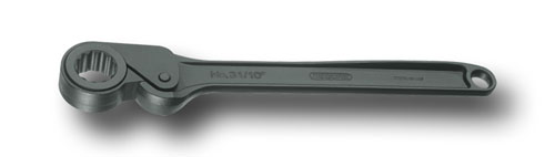 Freilaufknarre 12" mit Ring UD-Profil 24 mm, 31 KR 12-24